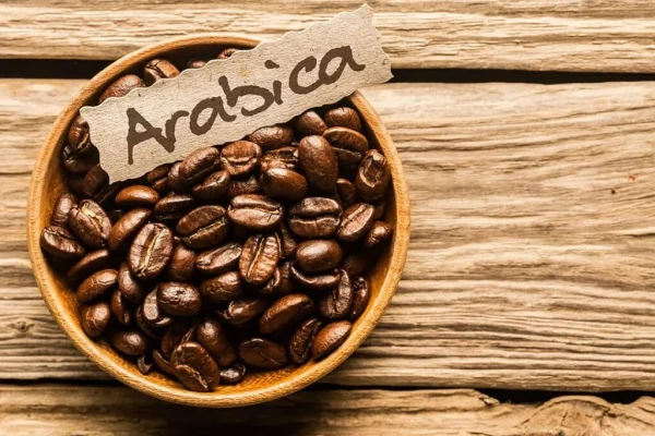 دانه قهوه عربیکا ۱۰۰٪ گنجینه خلاق نیکو