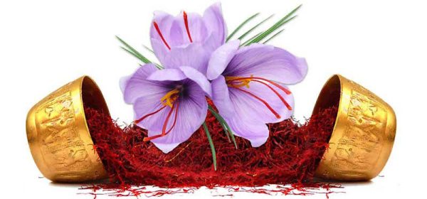 زعفران پوشال ممتاز خراسان گنجینه خلاق نیکو
